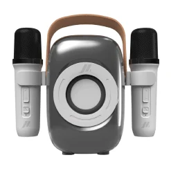 Speaker Karaoke wireless portatile con 2 microfoni
